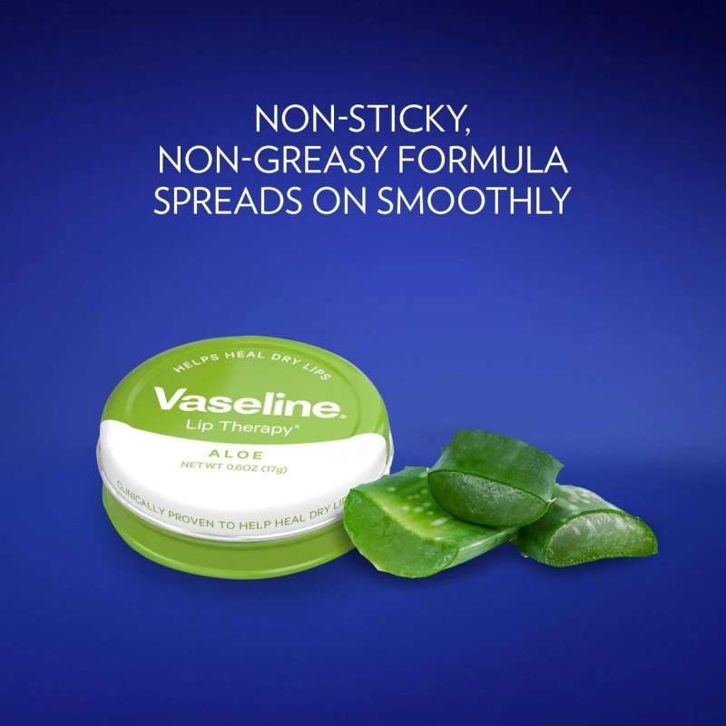 VASELINE BALSAM DE BUZE 20 GR ALOE VERA